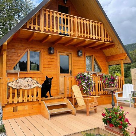 벨루노 Agri Camp Dolomiti 아파트 외부 사진