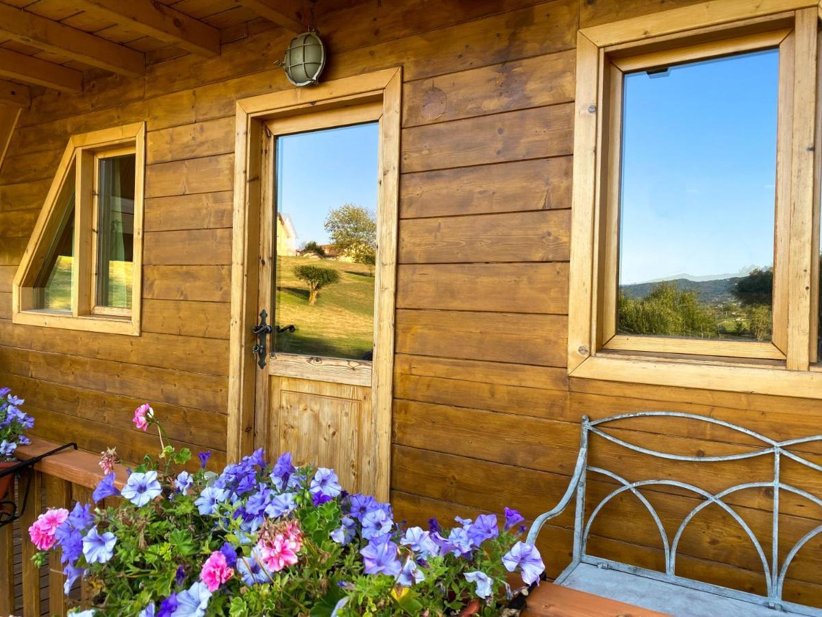 벨루노 Agri Camp Dolomiti 아파트 외부 사진