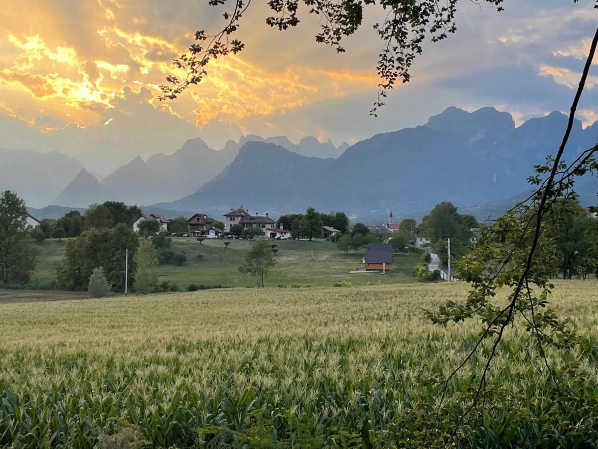 벨루노 Agri Camp Dolomiti 아파트 외부 사진