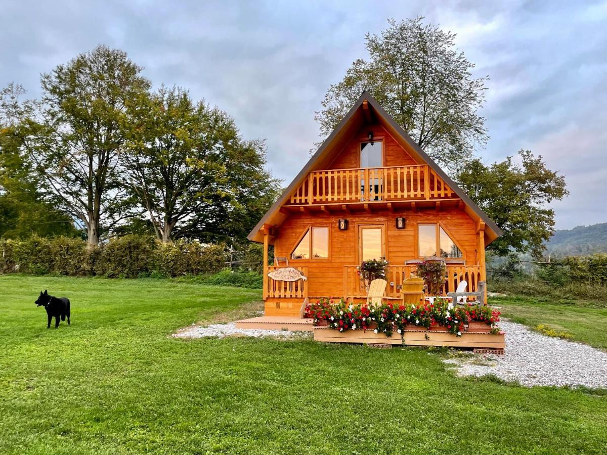 벨루노 Agri Camp Dolomiti 아파트 외부 사진