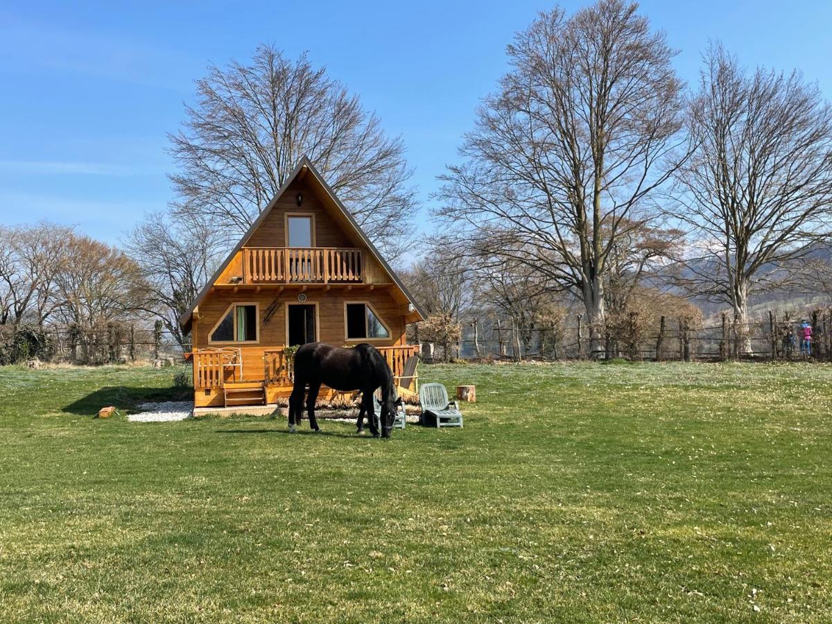 벨루노 Agri Camp Dolomiti 아파트 외부 사진