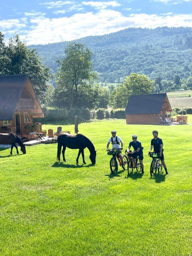 벨루노 Agri Camp Dolomiti 아파트 외부 사진